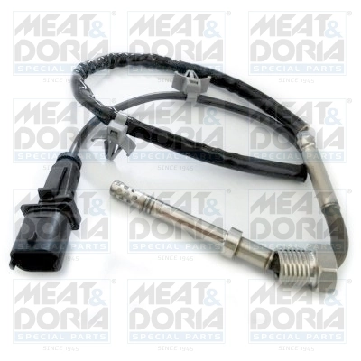 Sensor, exhaust gas temperature